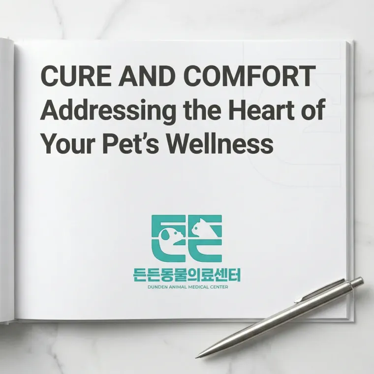 병원·의원 로고 디자인 — 보호자가 안심하고 맡길 수 병원 로고