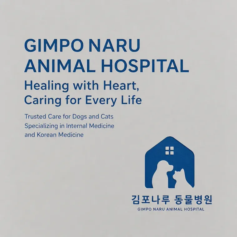 병원·의원 로고 디자인 — 아픈 아이들이 안심하고 쉬어가는 곳 병원 로고