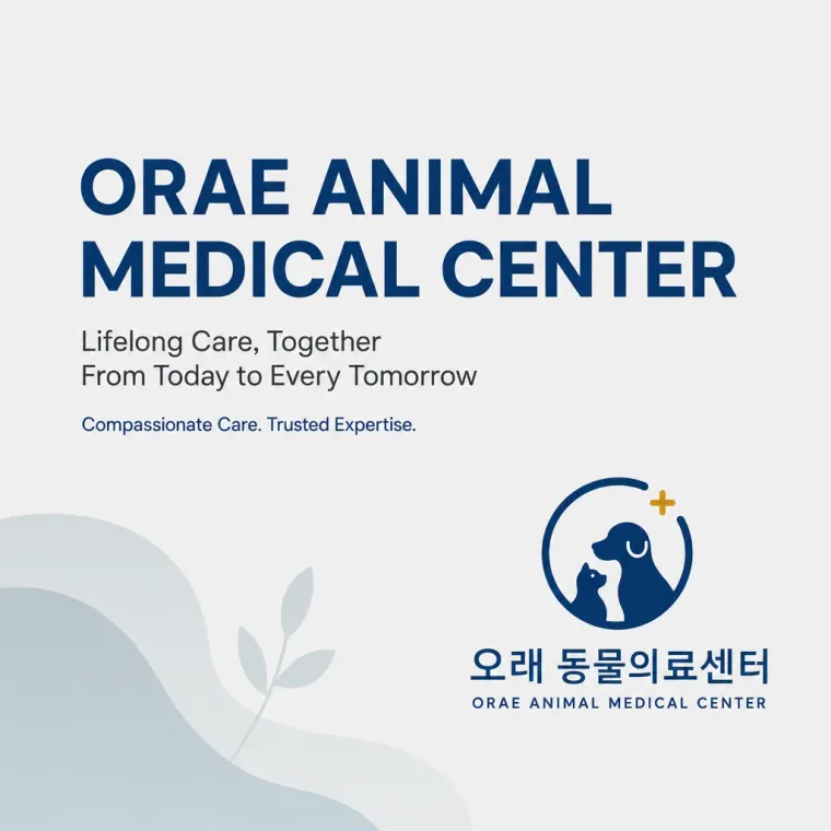 병원·의원 로고 디자인 — 반포 오래 동물의료센터 순환하는 돌봄의 연속성 병원 로고