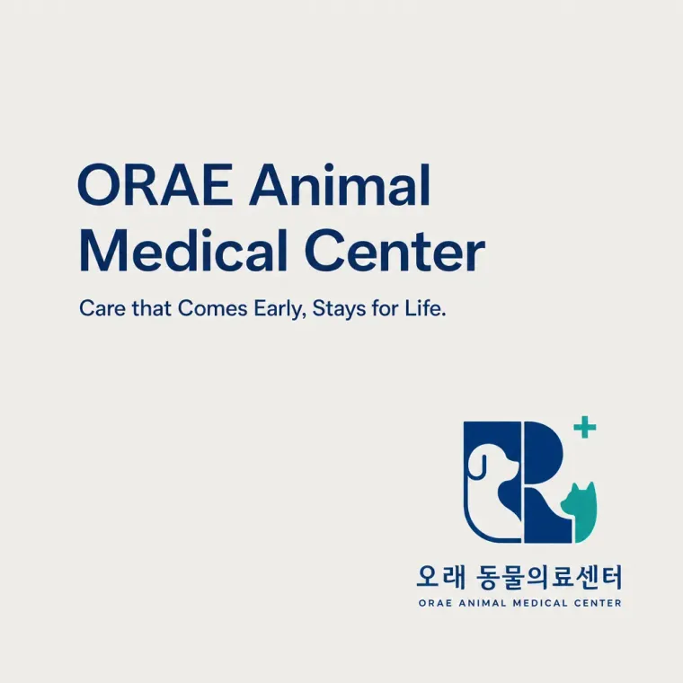 병원·의원 로고 디자인 — 반포 오래 동물의료센터 시간의 연속성과 돌봄의 순환 병원 로고